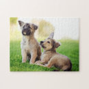 Recherche de german shepherd puzzles Dog