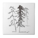 Recherche de pins carreaux Japonais