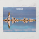 Recherche de calcium cartes postales Vinification de lee