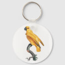 Suche nach parrot schlüsselanhänger Vogelvogel