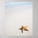 Recherche de scenes posters Wildlife