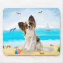 Recherche de chien papillon tapis souris Animal