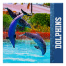 Recherche de de dauphin posters Pour tous