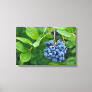 Suche nach beeren leinwandbilder Obst