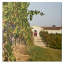 Recherche de vignoble carreaux Cultiver