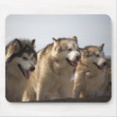 Recherche de amical tapis souris Animaux