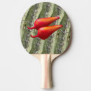 Recherche de cactus raquettes ping pong Mexicain