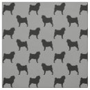 Recherche de pug Animaux