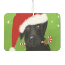 Recherche de labrador voiture accessoires Laboratoire noir