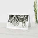 Recherche de traîneau cartes postales Mushing