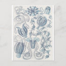Recherche de haeckel cartes postales Ernst