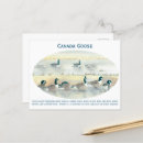 Recherche de canna cartes postales Nature