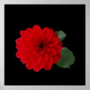 Suche nach leuchtend poster Schwarz