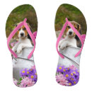Suche nach englischer beagle Niedlich