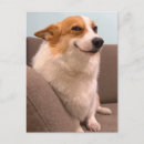 Recherche de sourire cartes postales Friend