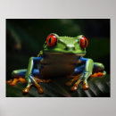 Suche nach rote augen poster Frosch