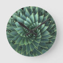 Recherche de jardinier horloges Plante