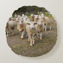 Suche nach sheep kissen Lämmer