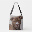 Recherche de pitbull sacs Animaux
