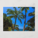 Recherche de hanalei Hawaï