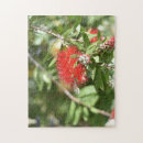 Recherche de fleurs rouges puzzles Jardin
