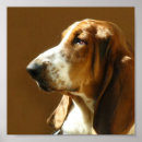Suche nach basset kunst Haustiere