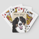Recherche de bernese jeux de cartes Chien