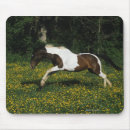 Suche nach malen sie pferde mousepads Reiter