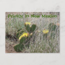 Suche nach new mexico postkarten Blume