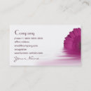 Suche nach lila gänseblümchen visitenkarten Gerbera