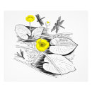 Suche nach wasser blume poster Blätter