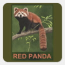 Suche nach red panda aufkleber Tiere