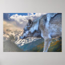 Suche nach lone wolf poster Wölfe