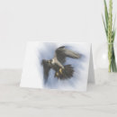 Suche nach falknerei karten Falconer