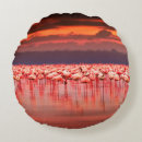 Suche nach sonnen kissen Tier