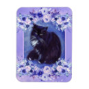 Recherche de noir et blanc chat magnets Chats noirs et blancs