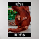 Suche nach orang utans poster Borneo