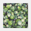 Recherche de de fin gourmet magnets Photographie de nourriture
