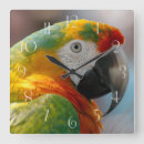 Recherche de perroquets rouges horloges Vert