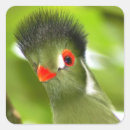 Recherche de oiseaux tropicaux autocollants Animal
