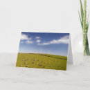 Suche nach windmühlen karten Landschaft