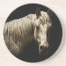 Suche nach weißes pferd untersetzer Tiere