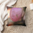 Recherche de insecte de dame rose Nature