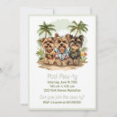 Recherche de chien terrier yorkshire invitations Yorkie