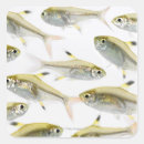 Suche nach röntgen aufkleber Tier