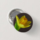 Recherche de jonquille badges Printemps