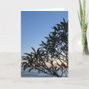 Suche nach sonnenuntergang silhouette karten Baum