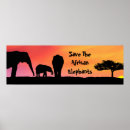 Recherche de savane africaine posters Animaux