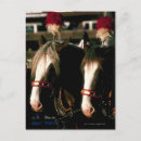 Recherche de décor cheval cartes postales Animal