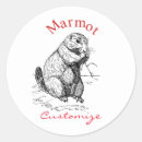 Suche nach marmot aufkleber Natur